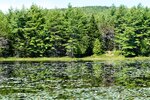 pic_24753.jpg