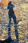 pic_24831.jpg