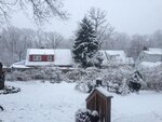 pic_24892.jpg