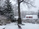 pic_24893.jpg