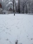pic_24894.jpg