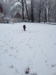 pic_24895.jpg