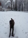 pic_24896.jpg