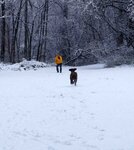 pic_24897.jpg