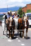 pic_31469.jpg