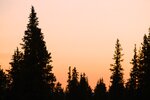pic_31594.jpg