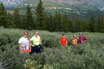 pic_31599.jpg