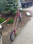 pic_31644.jpg