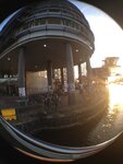 pic_28297.jpg