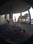 pic_28298.jpg