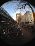 pic_28299.jpg