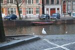pic_28447.jpg