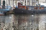 pic_28527.jpg