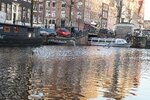 pic_28529.jpg