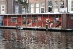 pic_28530.jpg