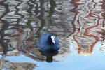 pic_28535.jpg