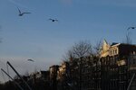pic_28567.jpg