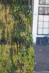 pic_28579.jpg