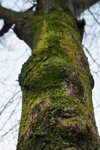 pic_28580.jpg