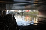 pic_28591.jpg