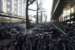 pic_28618.jpg