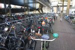 pic_28625.jpg