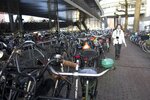 pic_28626.jpg