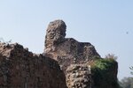 pic_28679.jpg