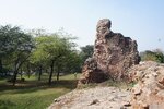 pic_28683.jpg
