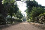 pic_28697.jpg