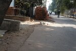 pic_28702.jpg