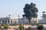 pic_28853.jpg