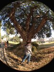 pic_28929.jpg