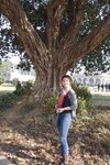 pic_28932.jpg