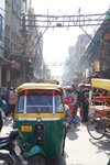 pic_28971.jpg