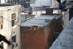 pic_29024.jpg