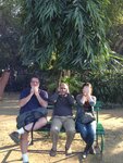 pic_29035.jpg