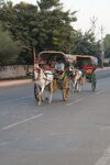 pic_28157.jpg