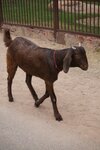 pic_28228.jpg