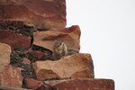 pic_28259.jpg