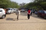 pic_29240.jpg