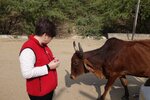 pic_29244.jpg