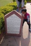 pic_29339.jpg