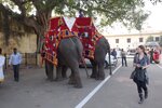 pic_29378.jpg