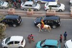 pic_29399.jpg