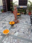 pic_29419.jpg