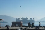 pic_29426.jpg