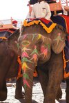 pic_29463.jpg