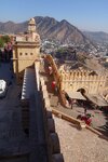 pic_29485.jpg