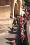 pic_29489.jpg